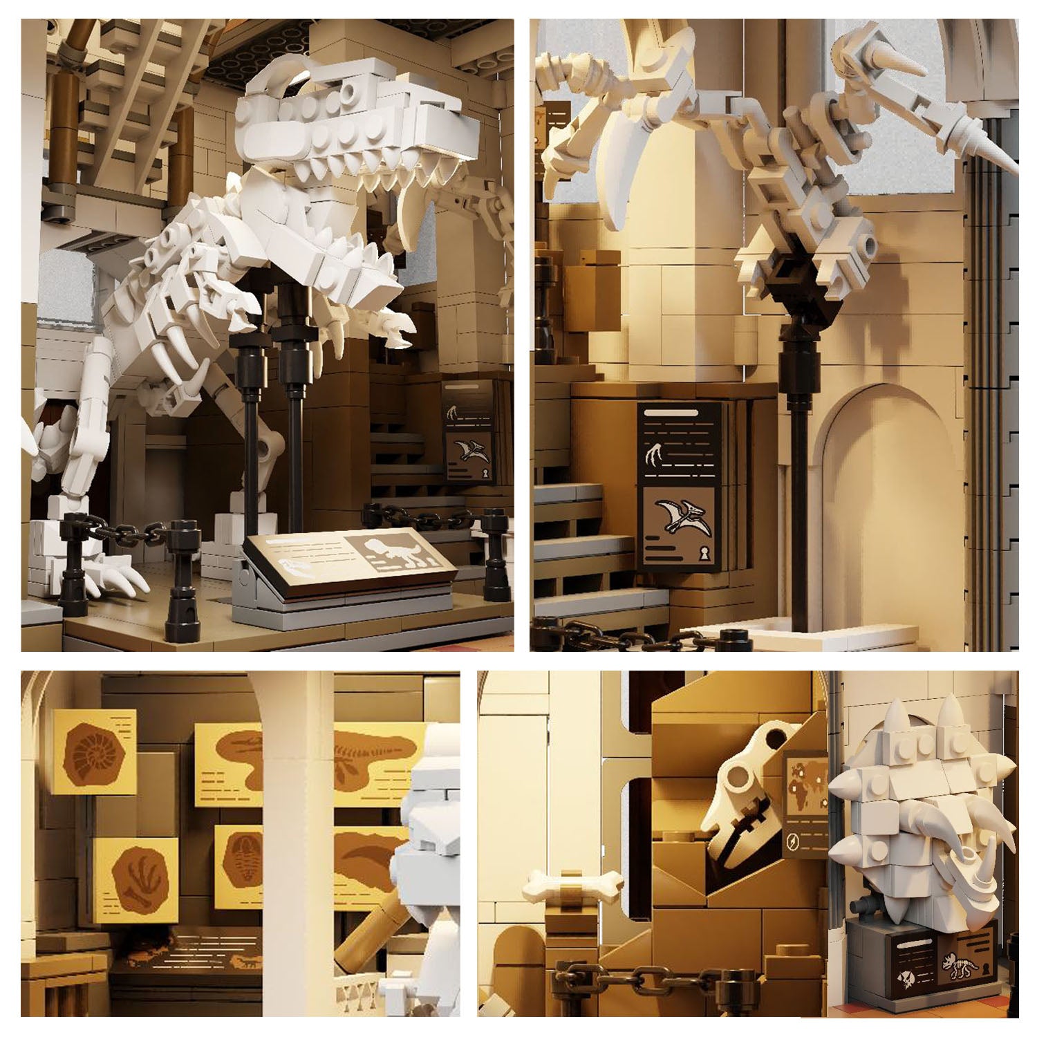 PANTASY® Museo dei Dinosauri